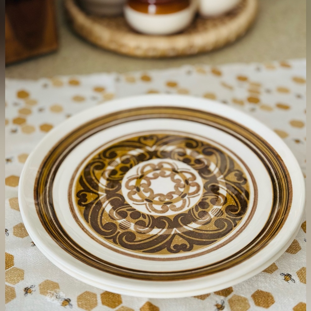 Set of 2 Vintage 70s Jamestown Dinner Plates